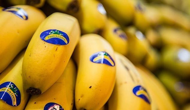 España es objetivo principal de la competencia desleal de la banana de terceros países en Europa